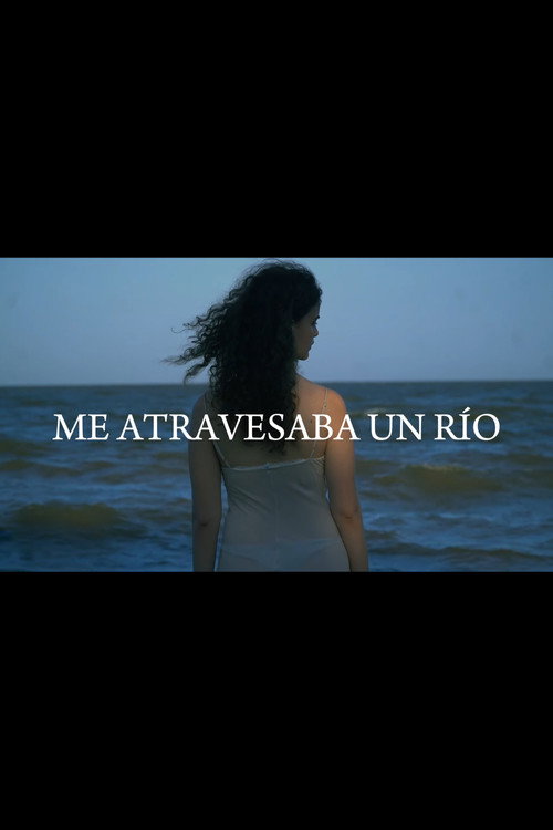 Movie poster for Me atravesaba un río (2024)