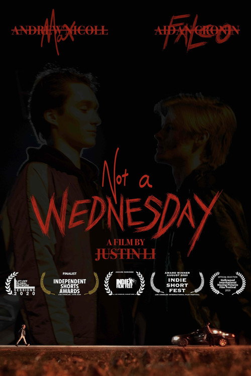 Movie poster for Not a Wednesday