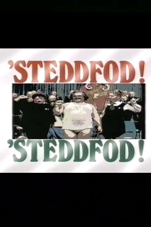 Movie poster for Steddfod! Steddfod! (1989)