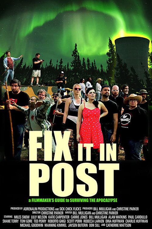 Movie poster for Fix It In Post (2014)