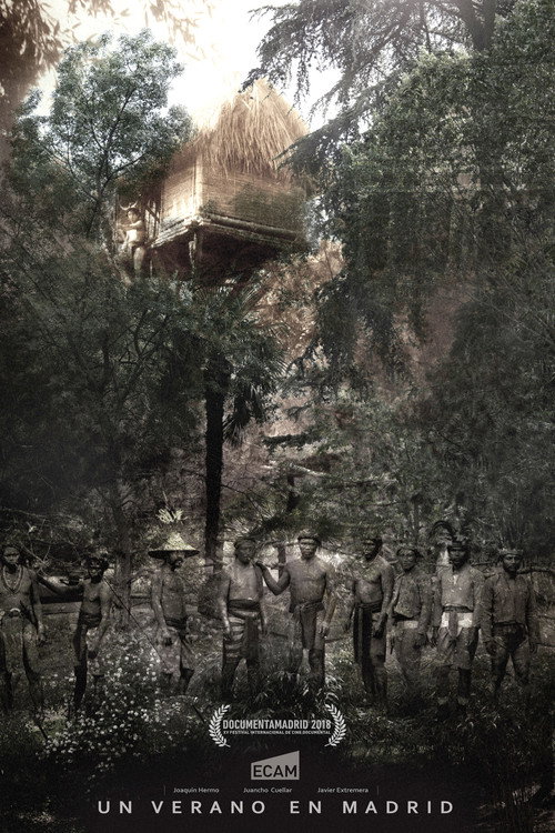 Movie poster for A Summer in Madrid (2017)