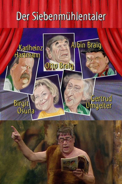 Movie poster for Der Siebenmühlentaler (1995)