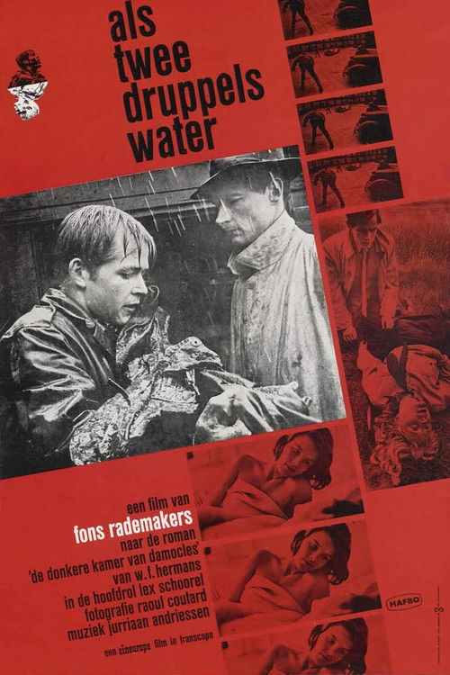 Movie poster for Like Two Drops of Water (1963)
