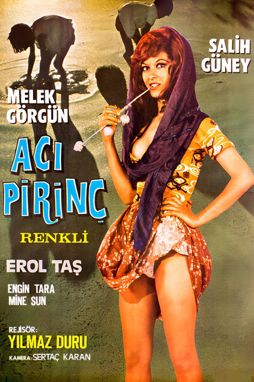 Movie poster for Acı Pirinç (1972)
