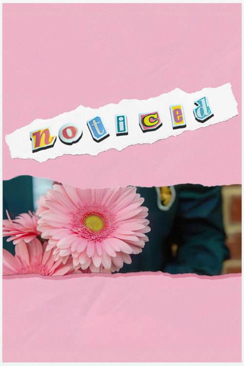Movie poster for Noticed (2025)