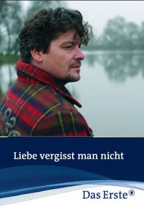 Movie poster for Liebe vergisst man nicht (2010)