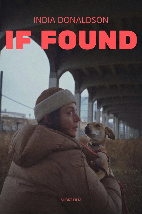 Movie poster for If Found (2021)