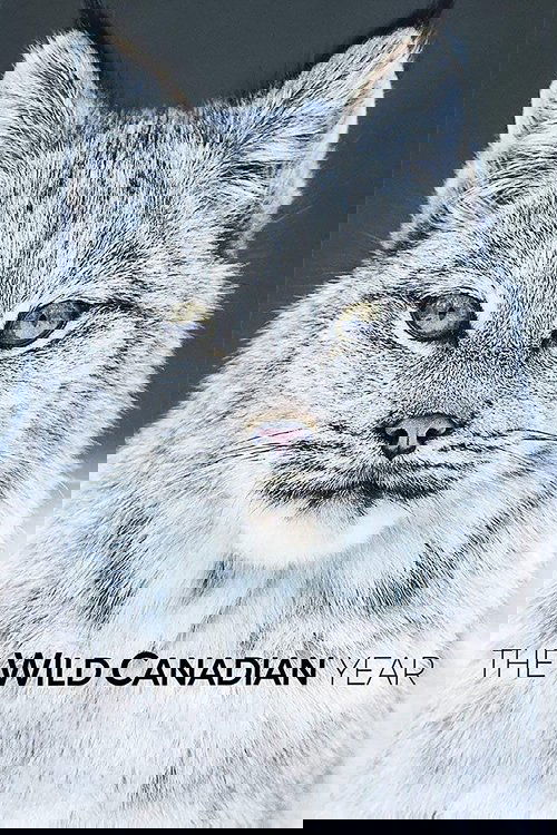 The Wild Canadian Year poster