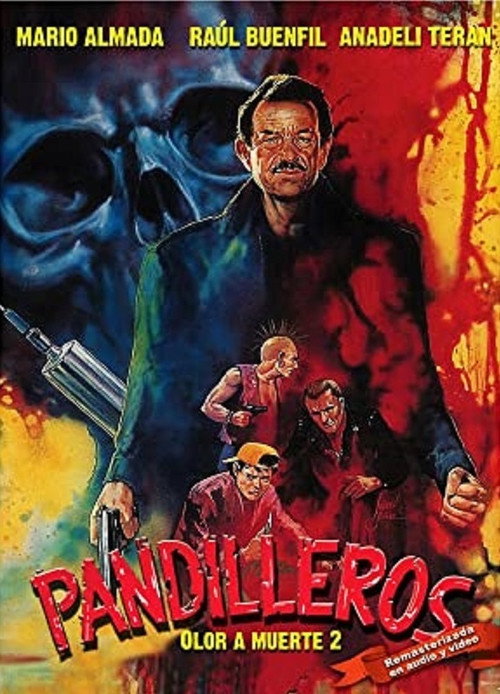 Movie poster for Pandilleros (1989)