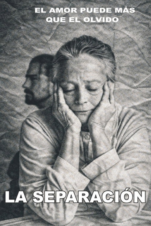 Movie poster for Separación