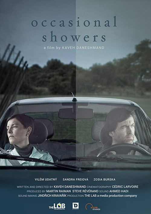 Movie poster for Occasional Showers (2016)