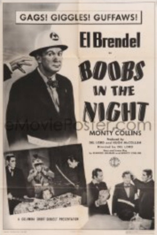 Movie poster for Boobs in the Night (1943)