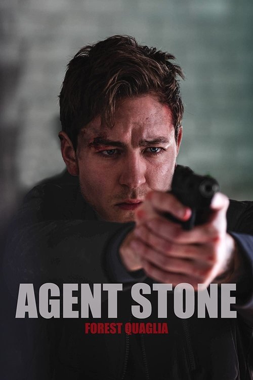 Movie poster for Agent Stone (2022)