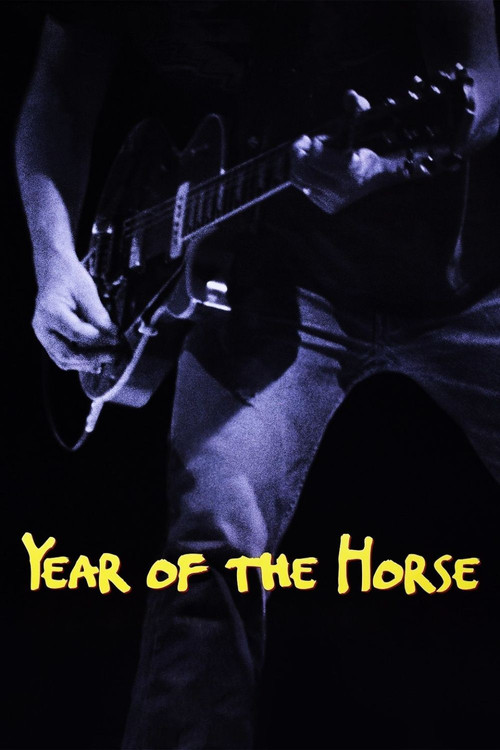 Movie poster for Year of the Horse (1997)