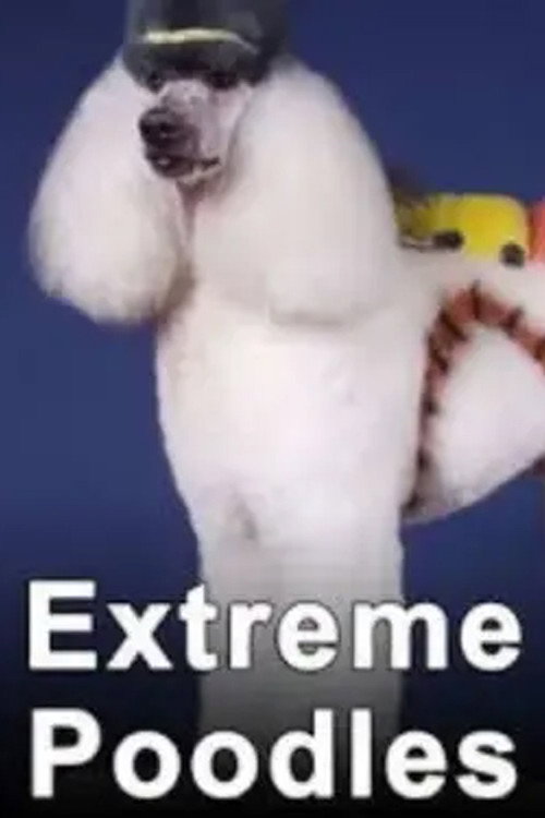 Movie poster for Extreme Poodles