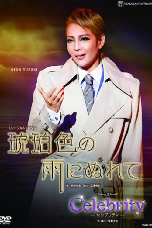 Movie poster for In the Amber-Hued Rain (2012)
