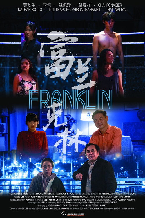 Movie poster for Franklin