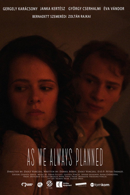 Movie poster for As we always planned (2022)