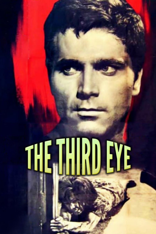 Movie poster for The Third Eye (1966)