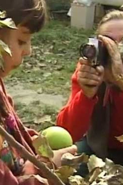 Movie poster for Bangla Borcha (1999)
