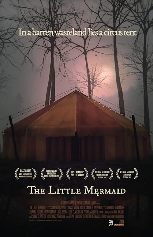 Movie poster for The Little Mermaid (2011)