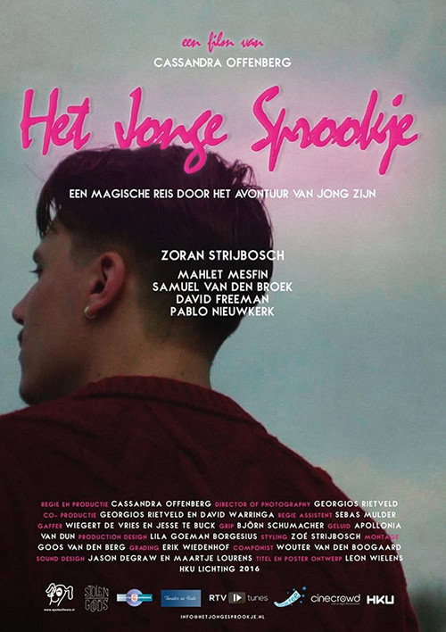 Movie poster for Het jonge sprookje