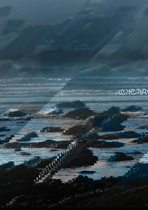 Movie poster for Aurora (2018)