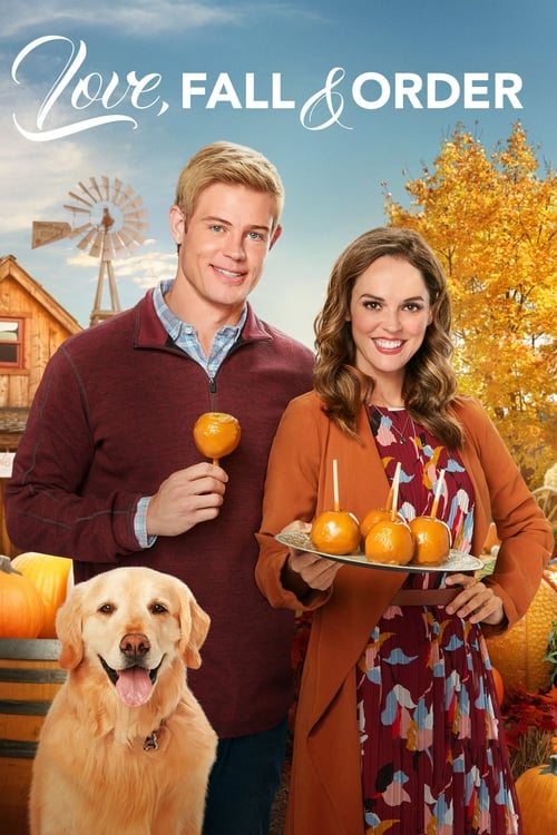 Movie poster for Love, Fall & Order (2019)