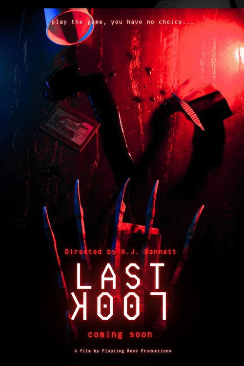 Movie poster for Last Look