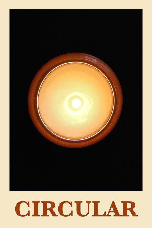 Movie poster for Circular (2022)