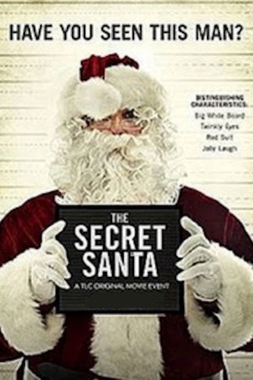 Movie poster for The Secret Santa (2014)