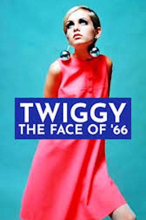 Movie poster for Twiggy: The Face of '66 (2012)