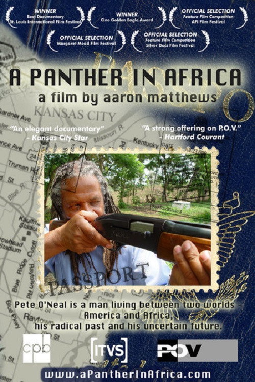 Movie poster for A Panther in Africa (2004)