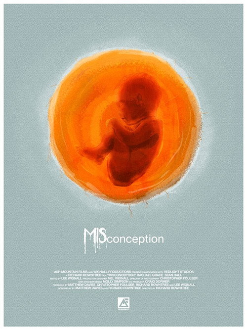 Movie poster for Misconception (2020)