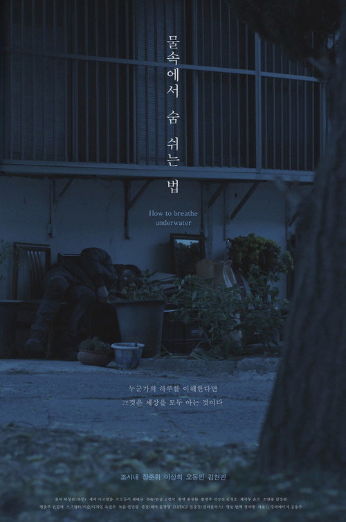 Movie poster for How to Breathe Underwater (2017)