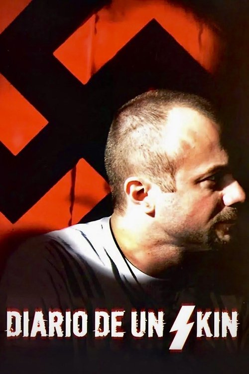 Diario de un skin poster
