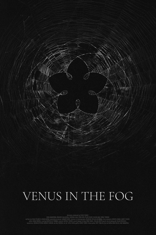 Movie poster for Venus in the Fog (2020)