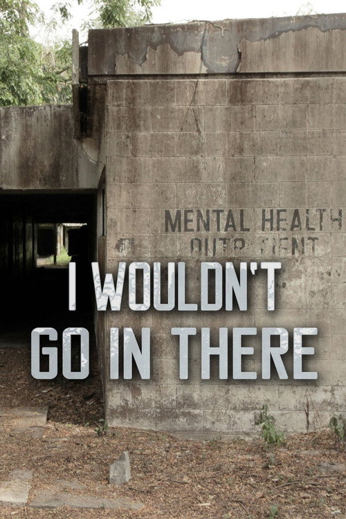 Series poster for I Wouldn’t Go In There (2013)