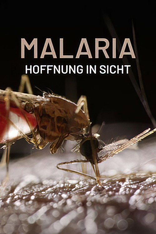 Movie poster for Malaria, Hoffnung in Sicht (2024)