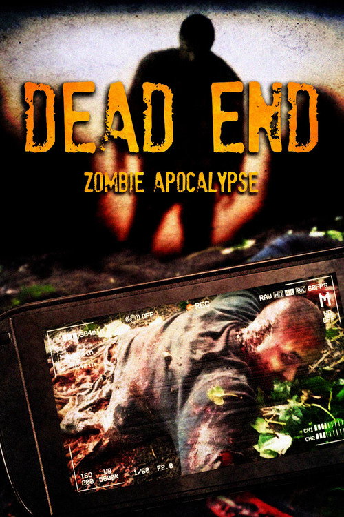 Movie poster for Dead End (2011)
