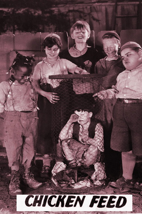 Movie poster for Chicken Feed (1927)