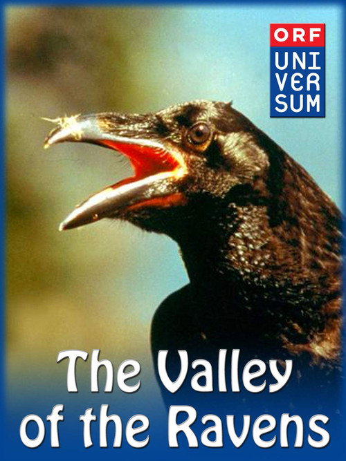 Movie poster for Valley of the Ravens