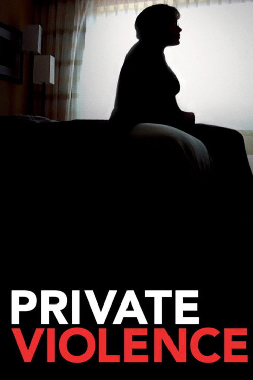 Private Violence poster