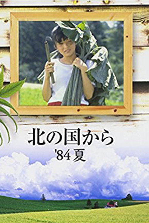 Movie poster for Kita no kuni kara '84 Natsu (1984)