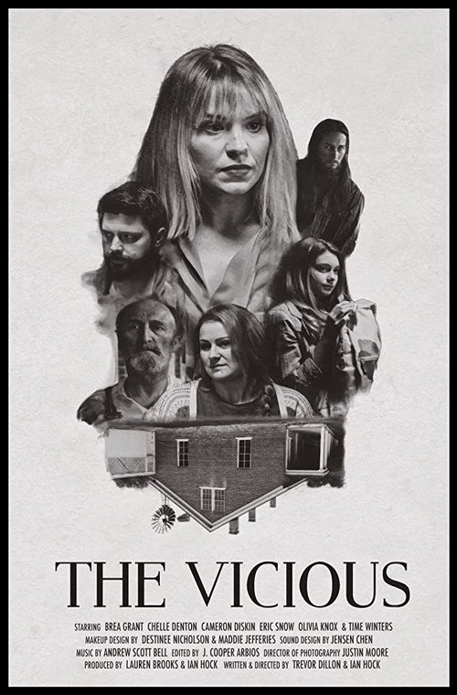 Movie poster for The Vicious (2019)