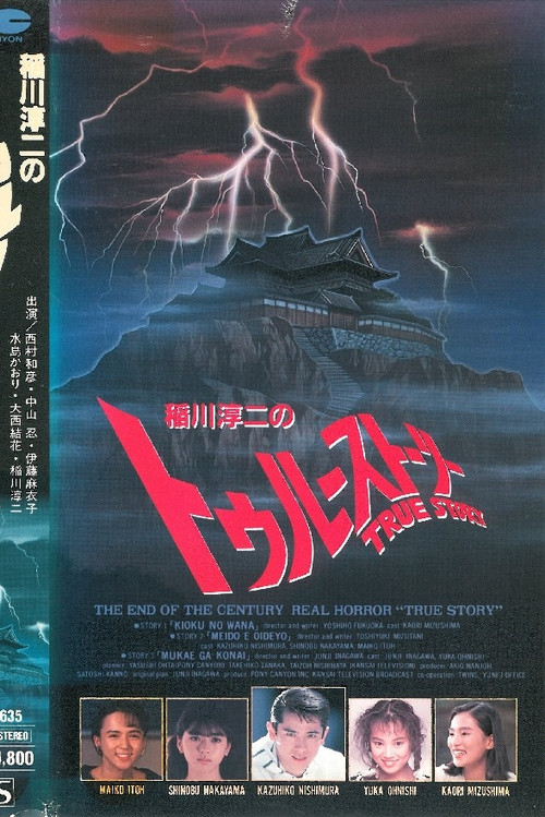 Movie poster for Junji Inagawa: True Story (1991)