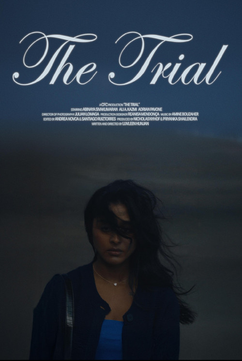 Movie poster for The Trial (2024)