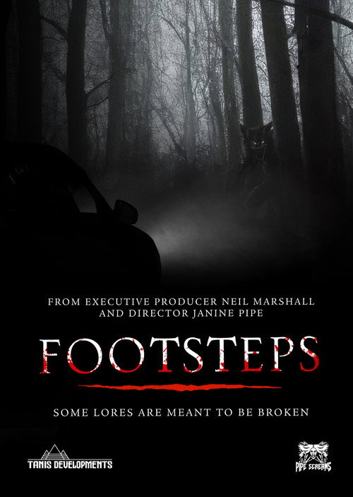 Movie poster for Footsteps (2025)