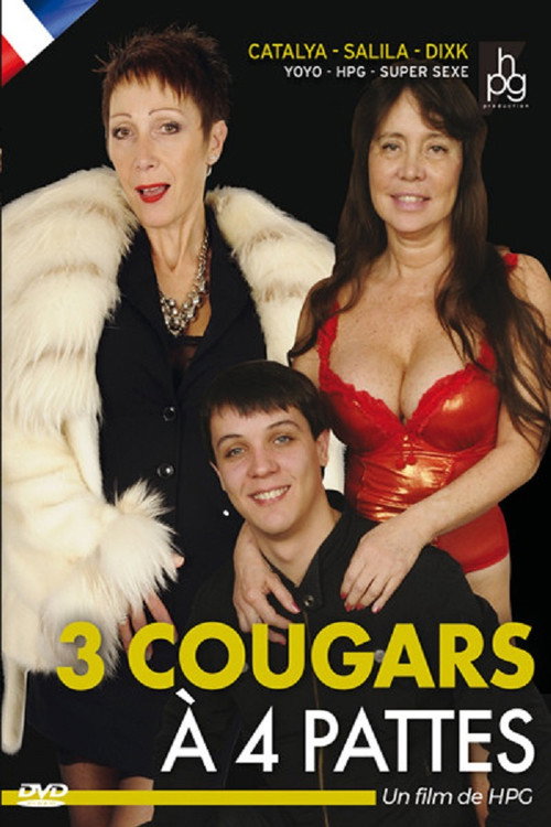 Movie poster for 3 Cougars à 4 Pattes (2013)