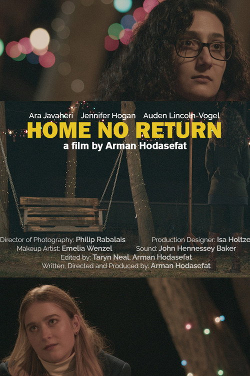 Movie poster for Home No Return (2025)
